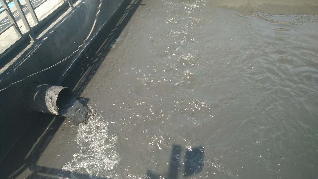 ��(n��i)�ɰ����������ؚ��ˮ̎���(xi��ng)Ŀ